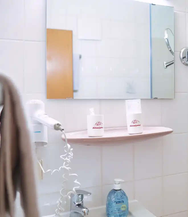 Badezimmer im Schweizerhof